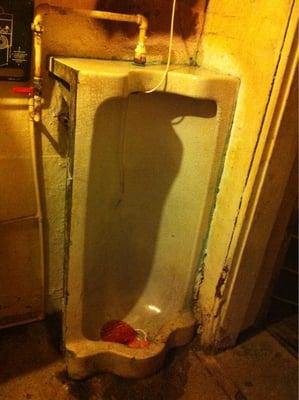 The oldest, still operating men's urinal in the state of Indiana. I was told this but I haven't fact checked.