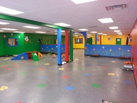 Y Bark Alone Doggy Daycare