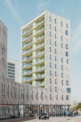 Professional services