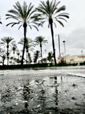 patients and timing, we can help you achieve your goals