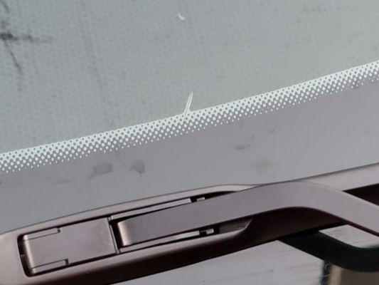 Glass Tiger Auto Aesthetics