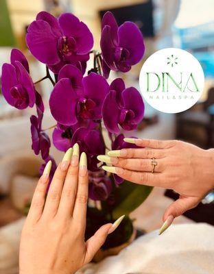 Dina Nail & Spa