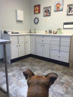 Time for vaccinations!