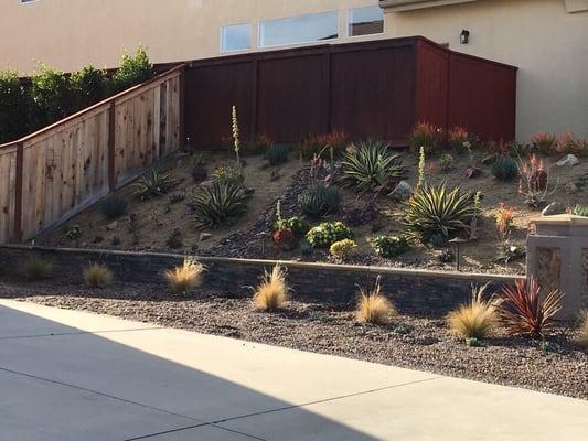 North Coast Arborist