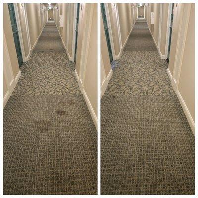 Alves Cleaning Services