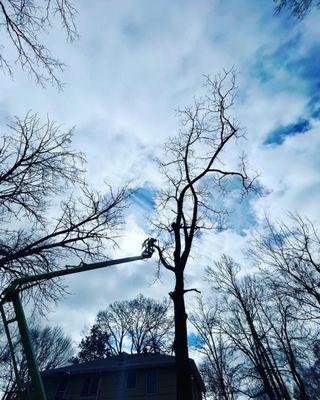 Alabama Outdoor Professionals