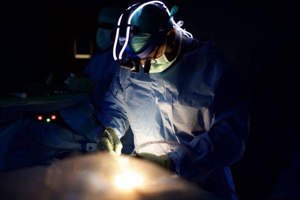 Ali H. Mesiwala, MD, FAANS