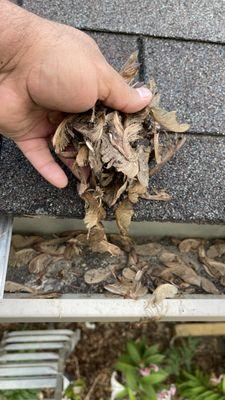 Gutter cleaning