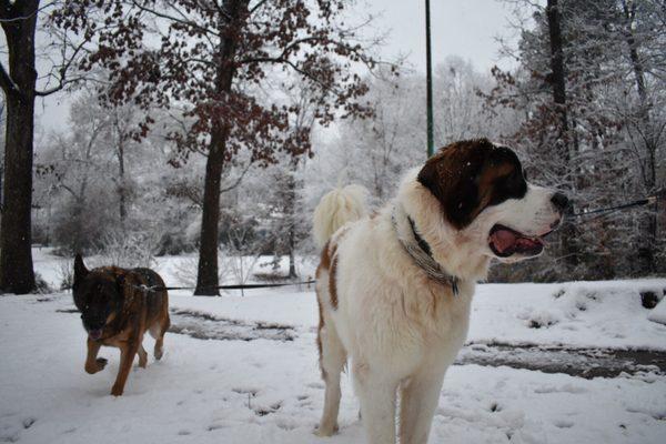 Brownwood Park Recreation Center
