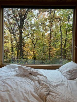 Postcard Cabins Piney Woods