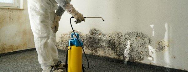 Mold Experts of Missouri & Kansas
