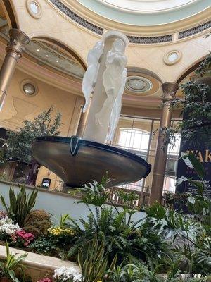 Bayya Tax & Accounting