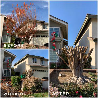 Lao Wu Handyman & Gardening Services