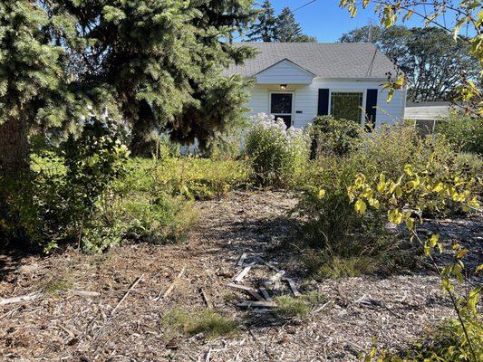 Carrillo's Landscaping