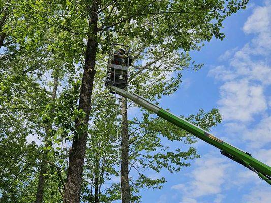 Five Star Tree Service & Land Managment