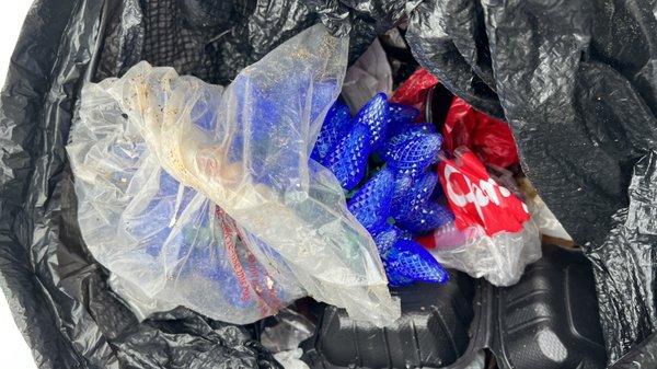 Suzye's Spotless Specialies