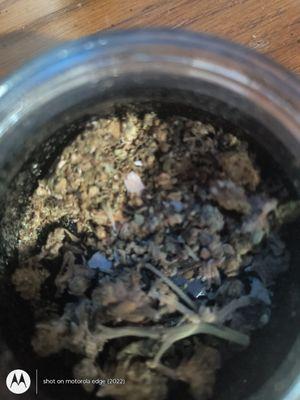 Russell County Commonwealth Attorney