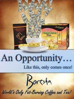 Boresha International, Independent Distributor