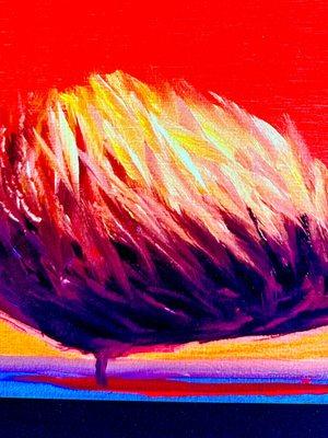 The Spinning Plate