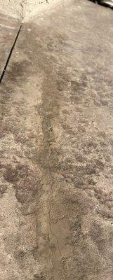 Crack the entire width of the walkway and stretching into coping.