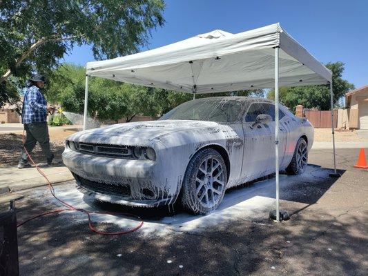 Wolf's Auto Detailing