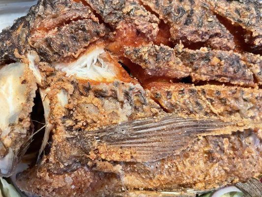 San Jose Tacos & Tequila