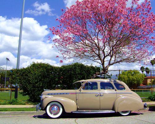 Wood's Service Center