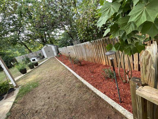 Royal Tree Landscape