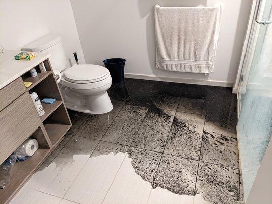 Bathroom at the Verve covered in sewage on a Sunday evening