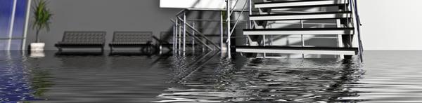 Did you know we offer cleaning after water damage? Blue Springs, MO and the surrounding areas can count on us.