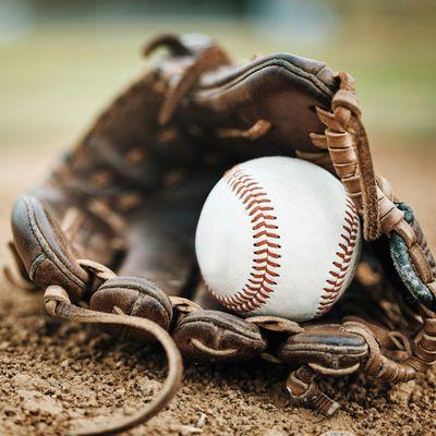 Big Five Sporting Goods