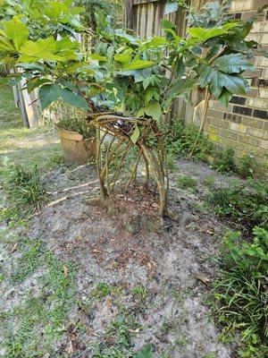 Wades Professional Maintenance Services