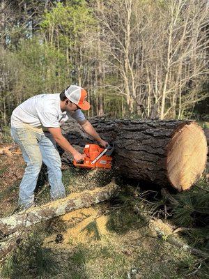 Gordon Landscaping