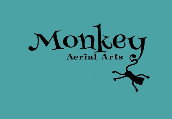 Beginner and intermediate classes in static trapeze, aerial silks, lyra and other aerials. At MAS (Movement Arts Space) in Grayslake, IL.