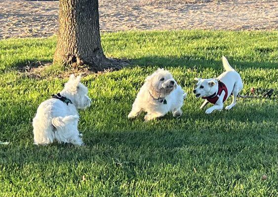 Pippa, Maggie and... Maggie twin???
