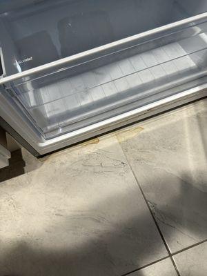 Madeira Bay Resort L By TRS