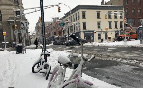 Barkingham Palace LLC