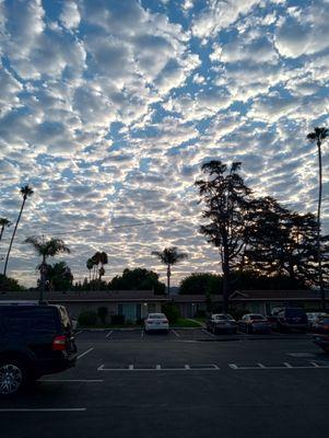 Pacifica Palms Apartments