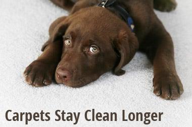 Heaven's Best Carpet Cleaning Idaho Falls ID