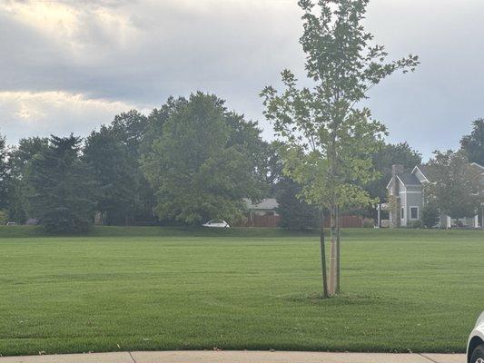 Louisville Community Park