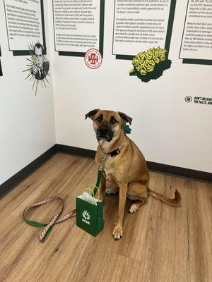 RISE Dispensary Naperville