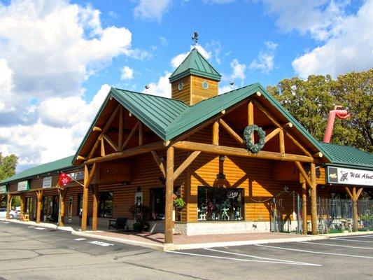 Wild About Birds DYK