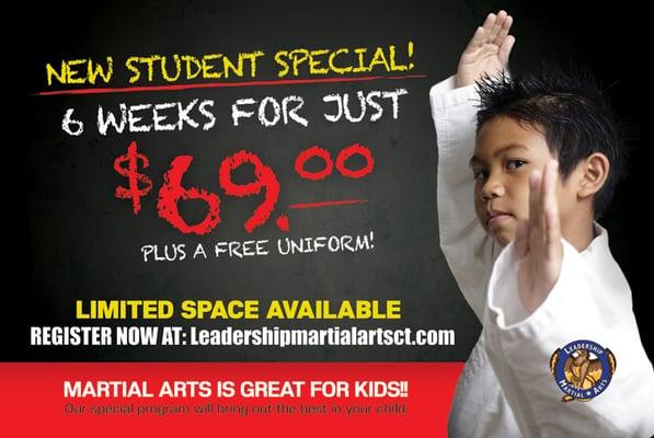 Leadership Martial Arts