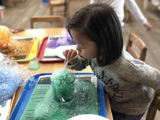 Menlo Atherton Cooperative Nursery School