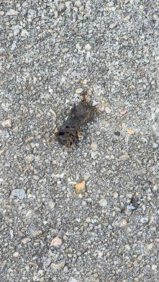 Top Storage does NOT clean out units!