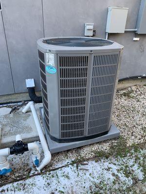 Lobo Nation Construction