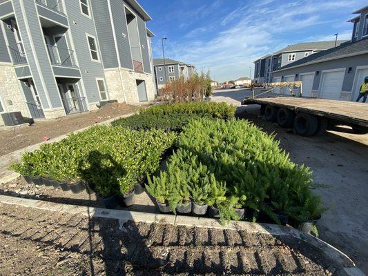 Glezco Landscaping And Outdoors Servicies