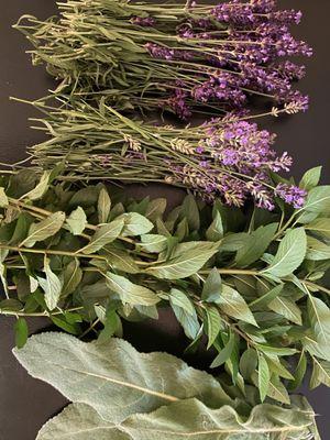 Healing Herbs and Livity