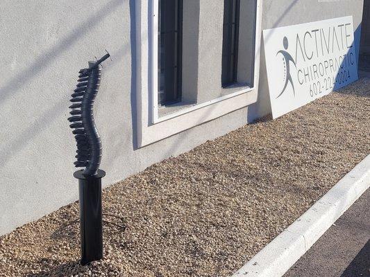 Same spine, different location.