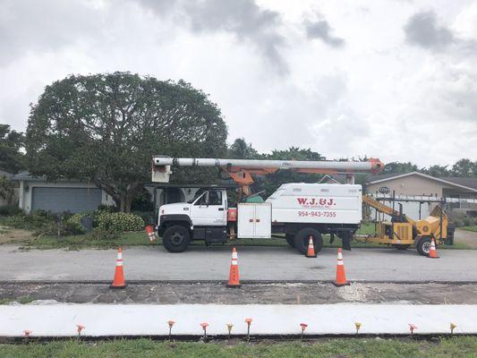 W J & J Tree Service